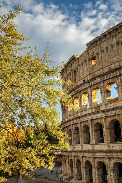 Colosseum Amfiteatern Centrala Rom Vid Solnedgången Italien Europa — Stockfoto