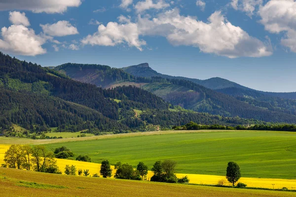 油種レイプのフィールドと春の風景 丘や背景に劇的な雲と青空 スロバキアのRajecka渓谷からの黒い丘 ヨーロッパ — ストック写真