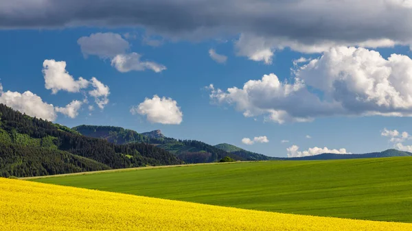 Tavaszi Táj Olajrepcével Hegyek Kék Drámai Felhőkkel Háttérben Klak Hegy — Stock Fotó