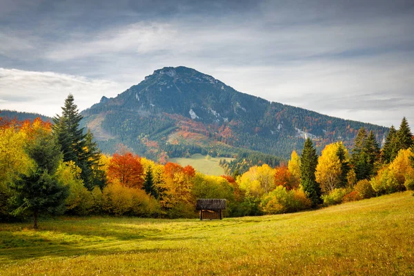 Paesaggio Autunnale Con Collina Velky Choc Nel Nord Della Slovacchia — Foto Stock