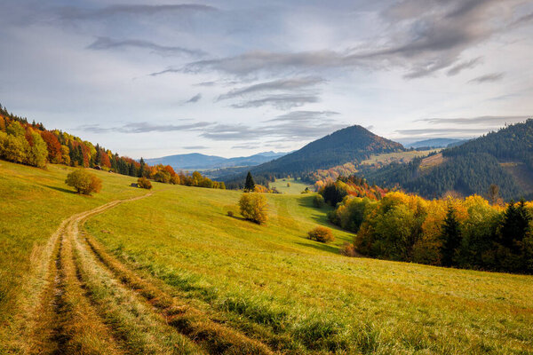 Autumn landscape with brightly colored trees and hills in the background. Orava region in northern Slovakia, Europe.