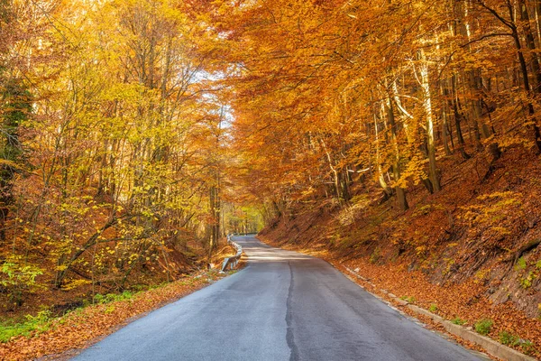 Cesta Lesem Podzimní Krajině — Stock fotografie