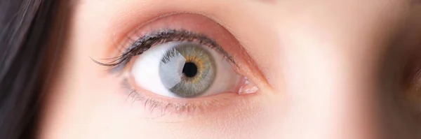 Woman wide-open eye with gray-green pupil closeup — Stock Photo, Image