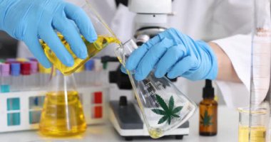 Laboratuvar bilimcisi beher filmine marihuana yağı döküyor.