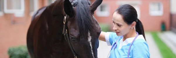 Médecin vétérinaire féminin effectue un examen physique du cheval noir — Photo