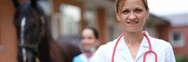 Veterinario realiza examen médico de primer plano caballo — Foto de Stock