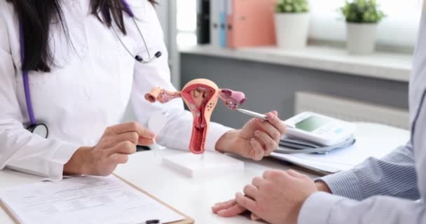 Doctor gynaecoloog tonen patiënt hoe de bevruchting plaatsvindt op model van uterus 4k film — Stockvideo