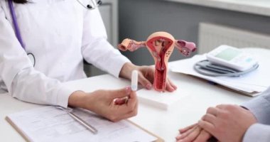 Jinekolog, sahte kadın üreme sistemine tampon yerleştiriyor.