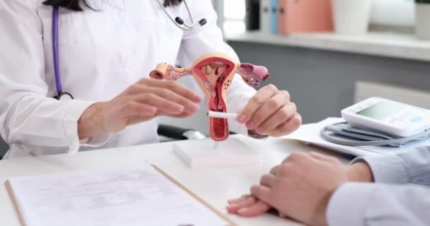 Врач-гинеколог разбивает сигарету на фоне макета женской репродуктивной системы 4К фильм — стоковое видео