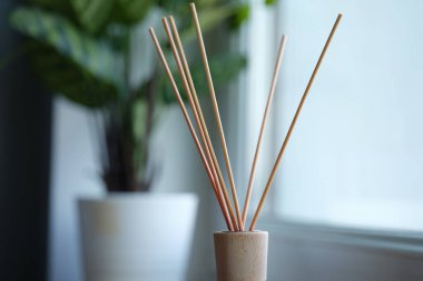 Ahşap sopa kavanozda duruyor. Aromatik yağlarla yakın plan dairede.