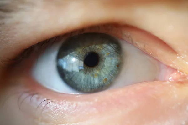 Синий и зеленый смешанный цвет глаз — стоковое фото