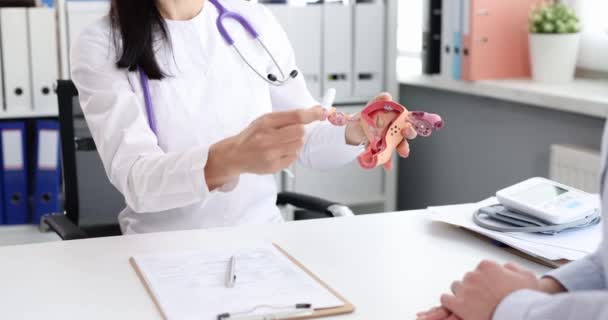 Gynekolog ukazuje pacientovi, jak vložit tampón na umělý model dělohy a vaječníků 4k film zpomalení
