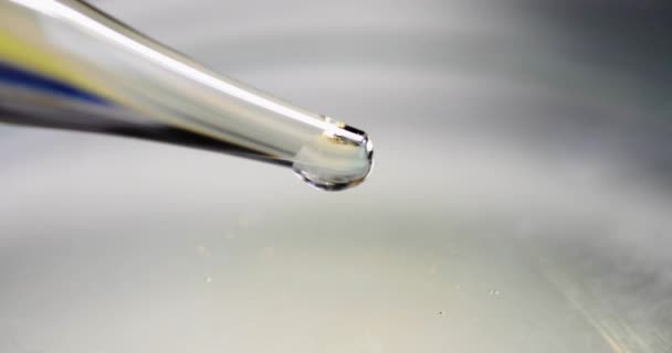 Gota caindo de pipeta de vidro em laboratório closeup filme 4k câmera lenta — Vídeo de Stock