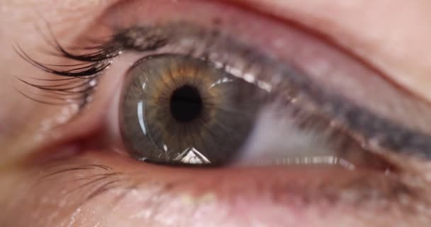 Ojo femenino con una película 4k en cámara lenta gris-verde — Vídeo de stock