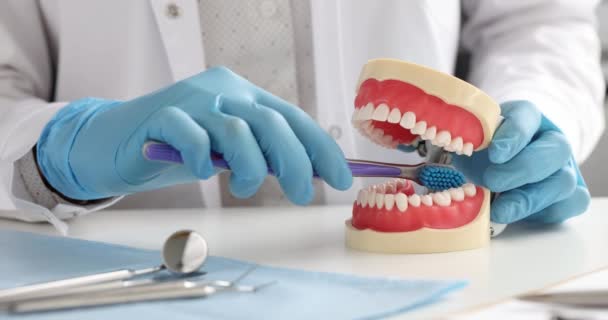 Dentista médico mostrando cómo cepillar correctamente los dientes en la mandíbula maqueta de primer plano 4k película cámara lenta — Vídeo de stock