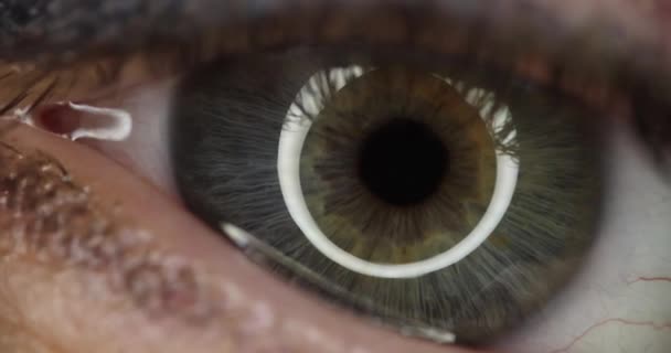 Primer plano de hermosa película 4k ojo femenino verde gris — Vídeo de stock