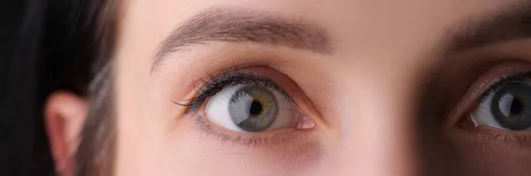 Primer plano de los ojos femeninos con maquillaje permanente de cejas y pestañas postizas —  Fotos de Stock