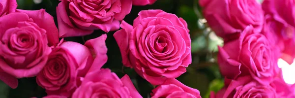 Крупный план большого букета розовых роз — стоковое фото