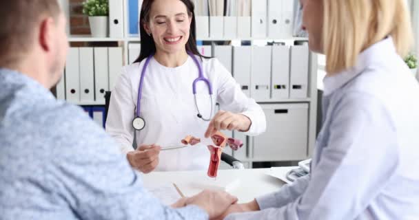 Gynécologue mène des consultations pour les couples mariés et montre sur le modèle comment la fécondation de l'utérus avec des spermatozoïdes a lieu — Video