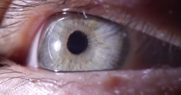 Ojo abierto con pupila verde gris de cámara lenta 8k película — Vídeo de stock