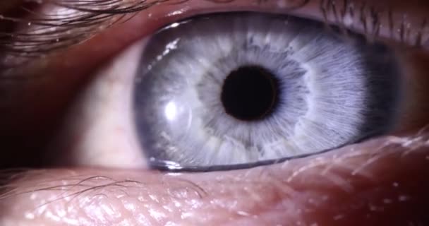 Macro perfecto de ojo azul en ambiente estéril y película de cámara lenta de visión perfecta 8k — Vídeo de stock