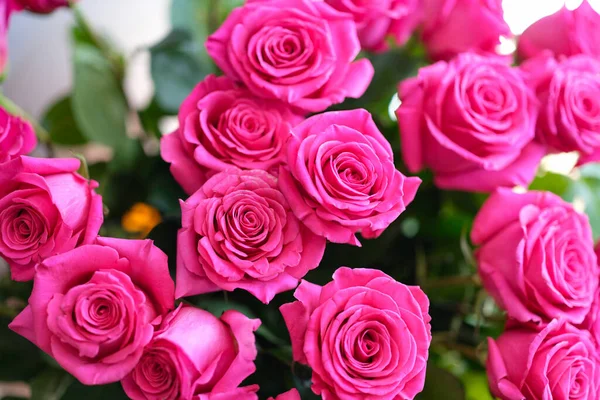 Bukett med vackra blommande rosa rosor närbild — Stockfoto