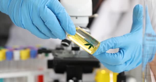 Científico químico sosteniendo botella de marihuana frente al microscopio en laboratorio 4k película cámara lenta — Vídeos de Stock