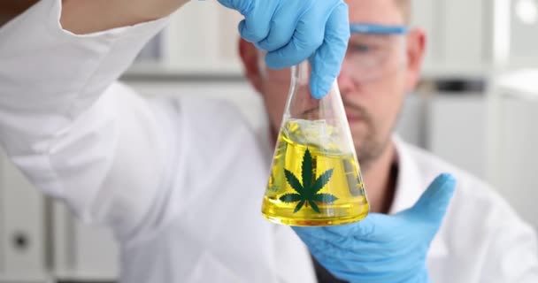 Químico masculino examina óleo de maconha em laboratório filme 4k câmera lenta — Vídeo de Stock