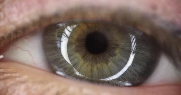 Grau und grün gefärbte Augen Zeitlupe 4k Film — Stockvideo