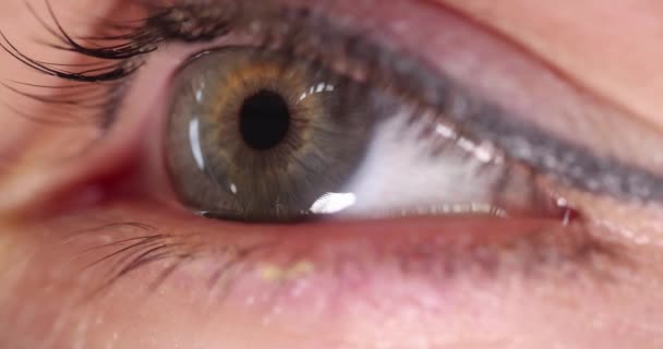 Close-up van vrouw groen oog met permanente make-up 4k film slow motion — Stockvideo