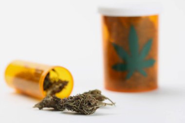 Plastik kabın içine tıbbî esrar veya marihuana tomurcukları konur.