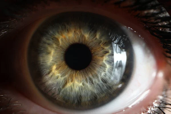 マクロショットで撮影された美しい緑の色合いを持つ人の目 — ストック写真