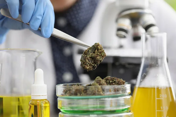 Szklany pojemnik z pączkami marihuany umieszczony na nim do badań laboratoryjnych — Zdjęcie stockowe