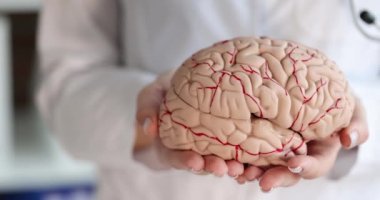 Doktor nörolog, elinde insan beyninin yapay modelini tutuyordu.