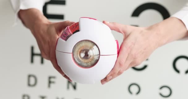 Oftalmólogo sosteniendo modelo de ojo artificial contra el fondo de la tabla de examen de visión primer plano película 4k — Vídeo de stock