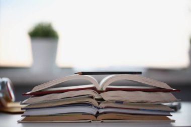 Masada yığınla kitap vardı, bitirilmemiş ödevler ya da evde öğrenilecek şeyler.