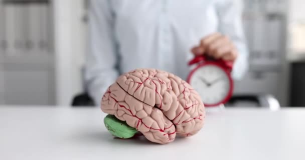 Geschäftsfrau stellt Wecker neben menschliches Gehirn auf den Tisch — Stockvideo