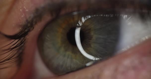 Gray green pupil with eyelashes slow motion 4k movie — Stock Video