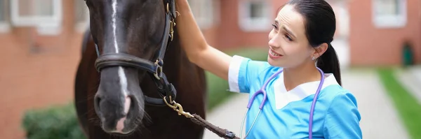 Femme médecin vétérinaire tenant pur-sang cheval par bride dans la tête stable et caressante — Photo