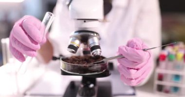 Bilim adamı, laboratuvar yavaş çekim 4K filminde toprak örneklerini inceliyor.