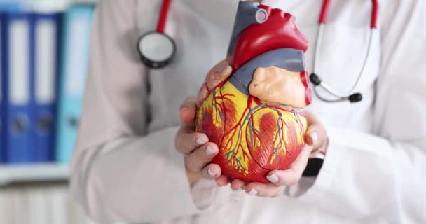 Doctor holding artificial model of human heart 4k movie slow motion — Stock Video