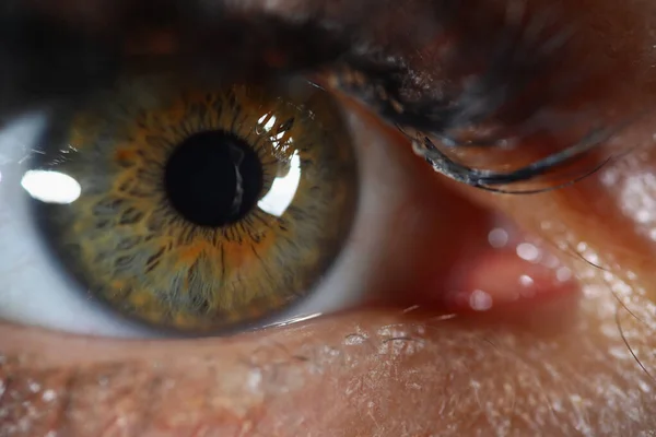 Женский глаз с тушью на нем, экстремальный макроснимок женского зрительного органа — стоковое фото