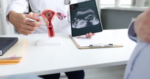 Gynecologist shows female reproductive system ultrasound fetus pregnant woman — Stock Video