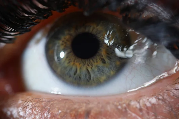 Hermoso ojo de mujer verde con rímel producto de maquillaje — Foto de Stock