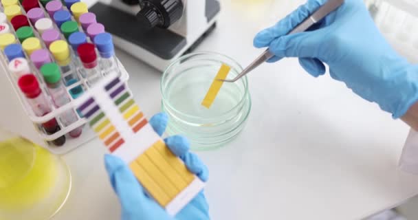 Biólogo comprueba prueba de PH por análisis químico alcalino en laboratorio — Vídeos de Stock