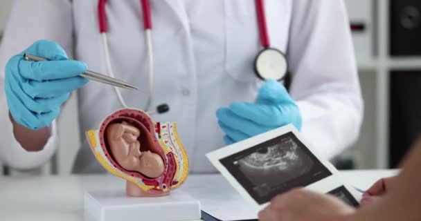 Ginecólogo muestra modelo de feto y ecografía del embarazo a la mujer — Vídeos de Stock