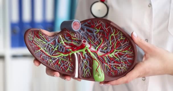 医者あります開催モックアップの人間肝臓スローモーション4kムービー — ストック動画