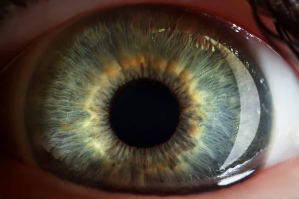 Persons eye, extreme macro shot of female or male sight organ, shadows of green eye colour — Stockfoto