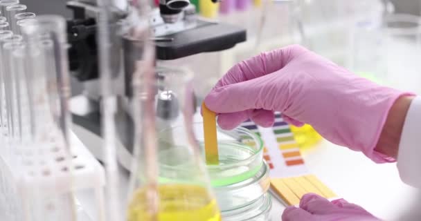Tutkija kemisti tarkistaa happamuus nesteen petrimaljassa käyttäen litmuspaperi laboratoriossa lähikuva 4k elokuva — kuvapankkivideo