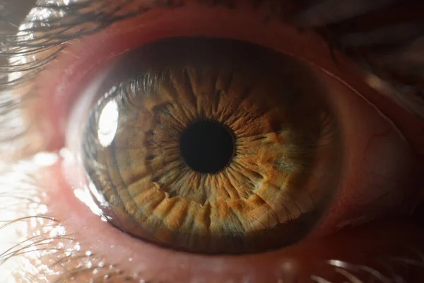 Закрыть красивый коричневый зеленый человеческий глаз — стоковое фото